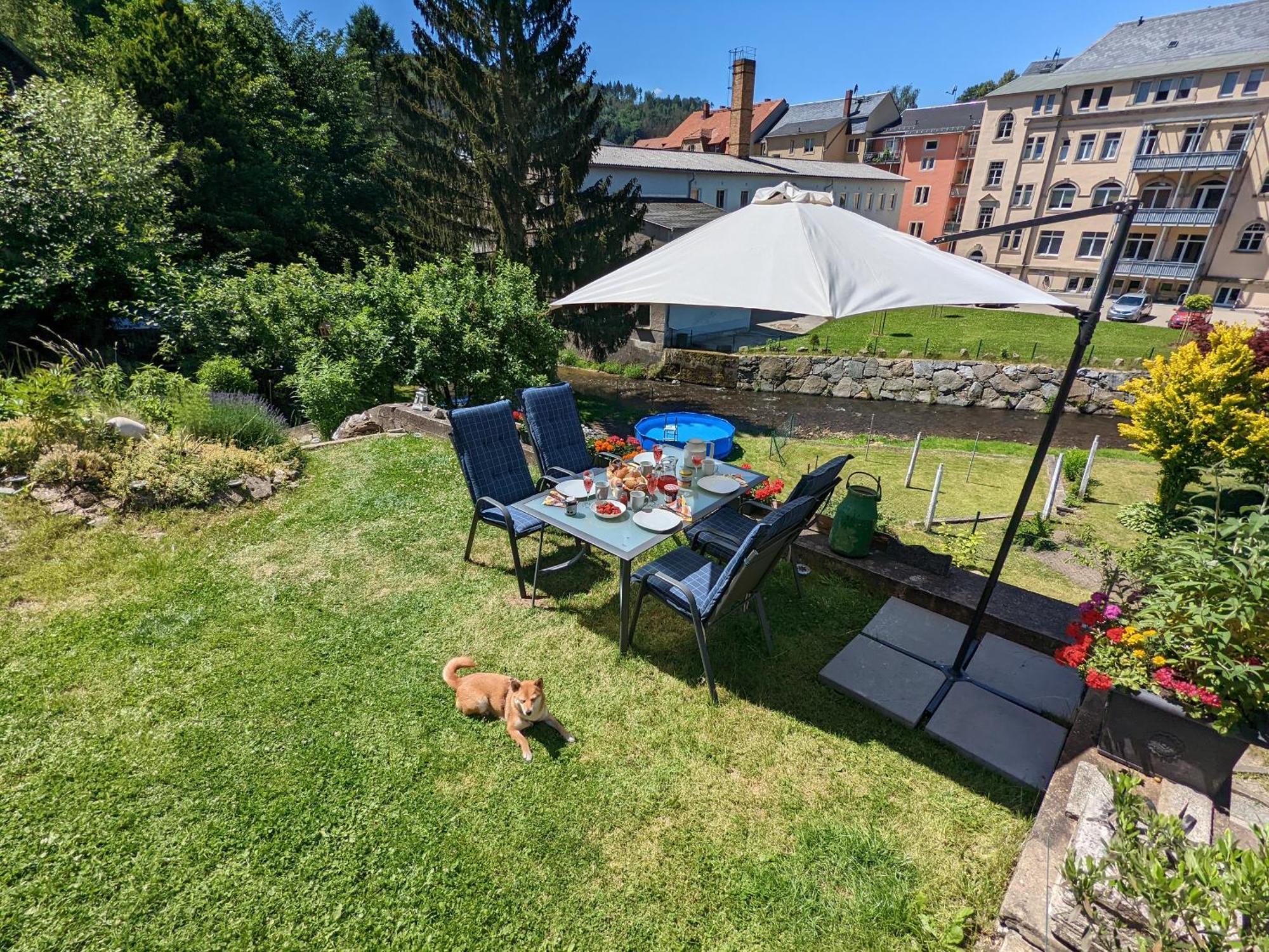 Idyllische Erholung - Sauna, Garten, Pool&Fluss - Zi1 Sebnitz Exterior foto