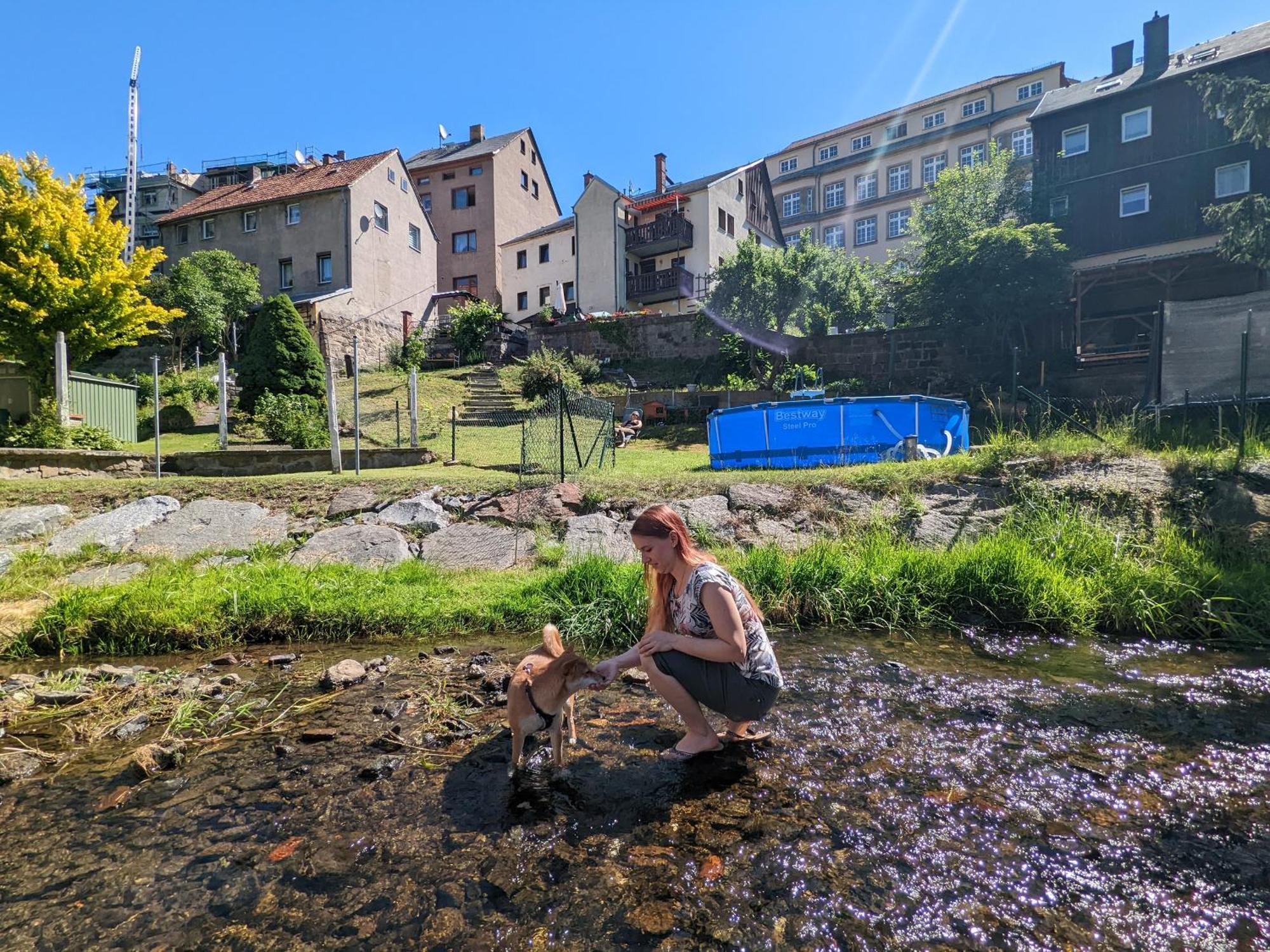 Idyllische Erholung - Sauna, Garten, Pool&Fluss - Zi1 Sebnitz Exterior foto