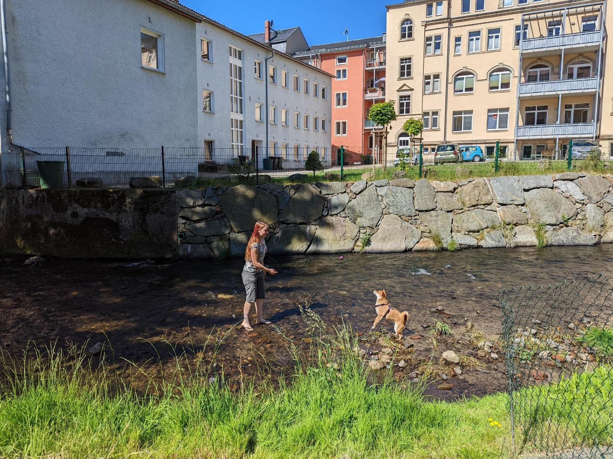 Idyllische Erholung - Sauna, Garten, Pool&Fluss - Zi1 Sebnitz Exterior foto